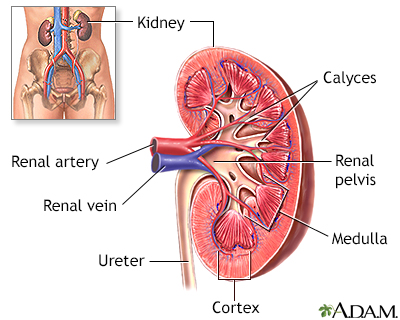 Medical Acute glomerulonephritis | CHAPTER 12 | Pediatric Nursing
