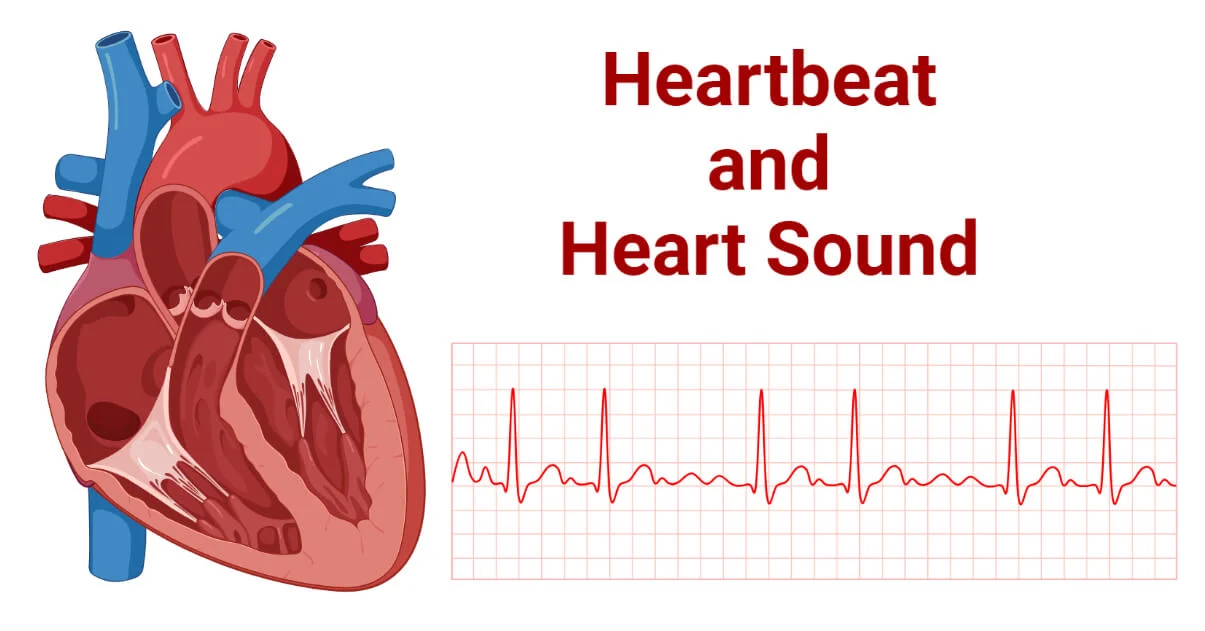 Concept about Tachycardia | CHAPTER 5 | Anatomy and Physiology