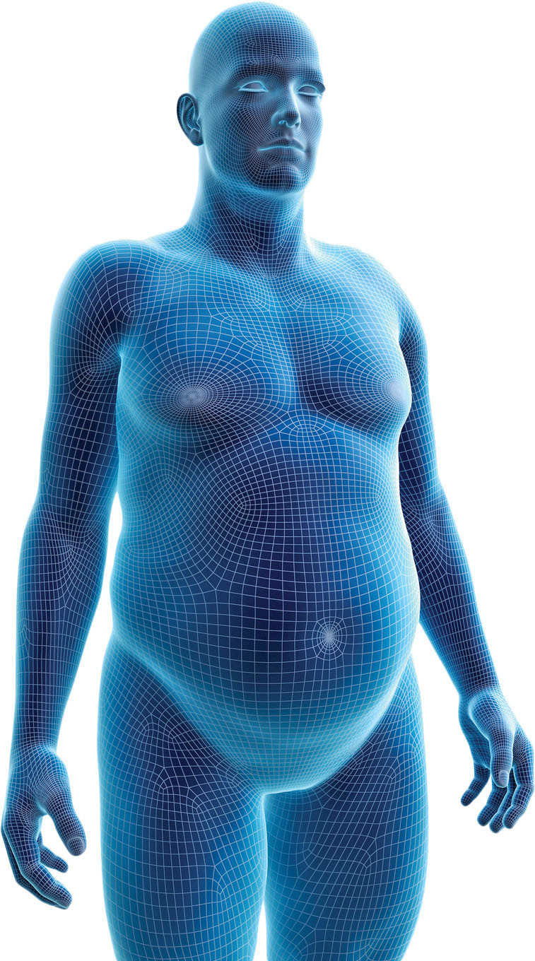 Concept about Fat | CHAPTER 1 | Nutrition and Dietetics