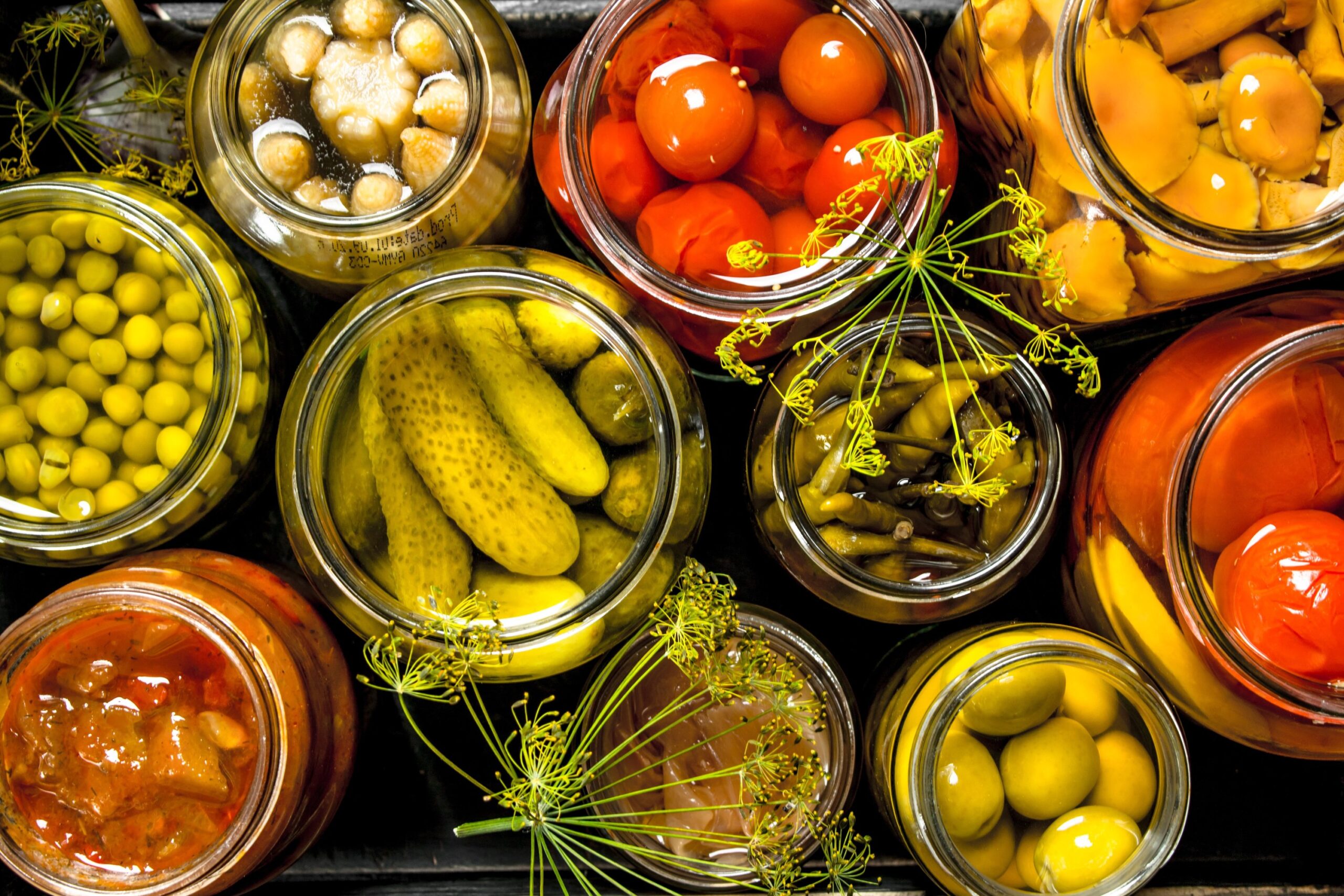 Food Preservation | CHAPTER 4 | Nutrition and Dietetics