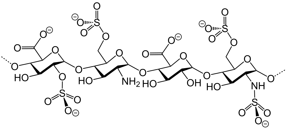 Copncept About Heparin | CHAPTER-10 | Pharmacology