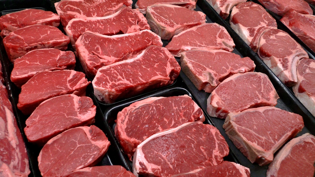 Meat borne disease | CHAPTER 4 | Nutrition and Dietetics