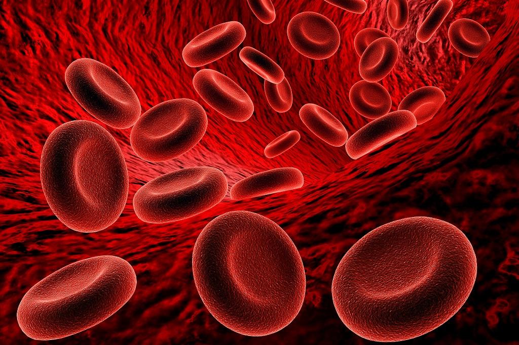 Nutritional Anaemia | CHAPTER 15 | Pediatric Nursing