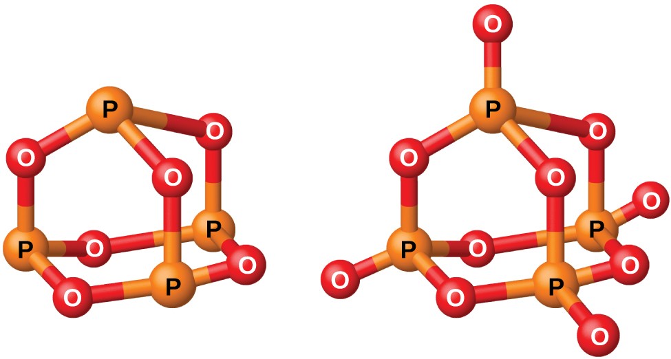 Concept about Phosphorus | CHAPTER 1 | Nutrition and Dietetics