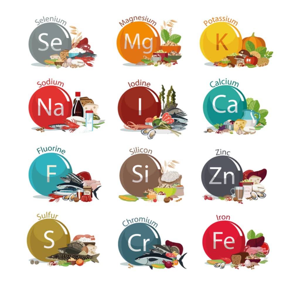 Concept about Trace Elements | CHAPTER 1 | Nutrition and Dietetics