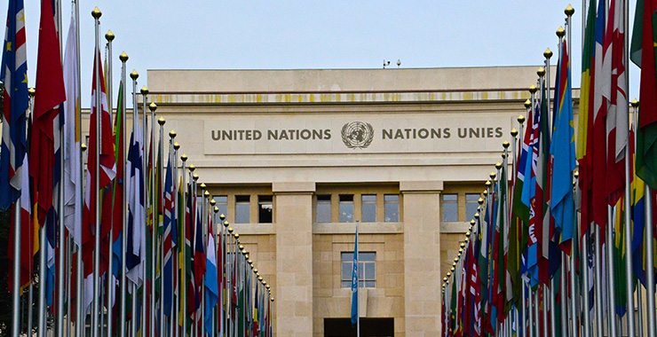International health organizations & NGOs | CHAPTER 21 | Community Health Nursing