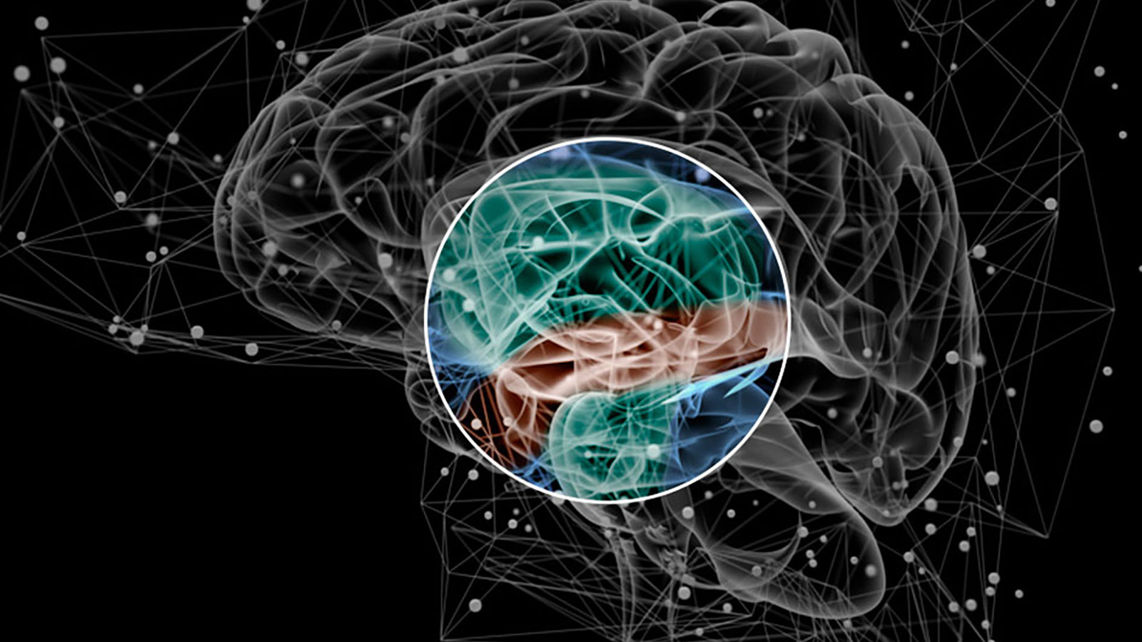 Care and management of clients with schizophrenia | CHAPTER 4 | Psychiatric nursing