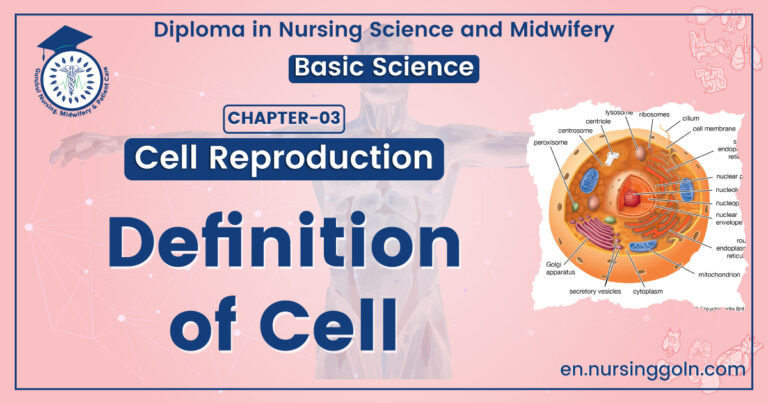 Definition of Cell
