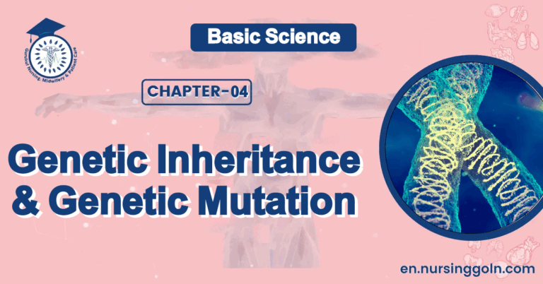 Genetic Inheritance & Genetic Mutation | CHAPTER 4 | Basic Science