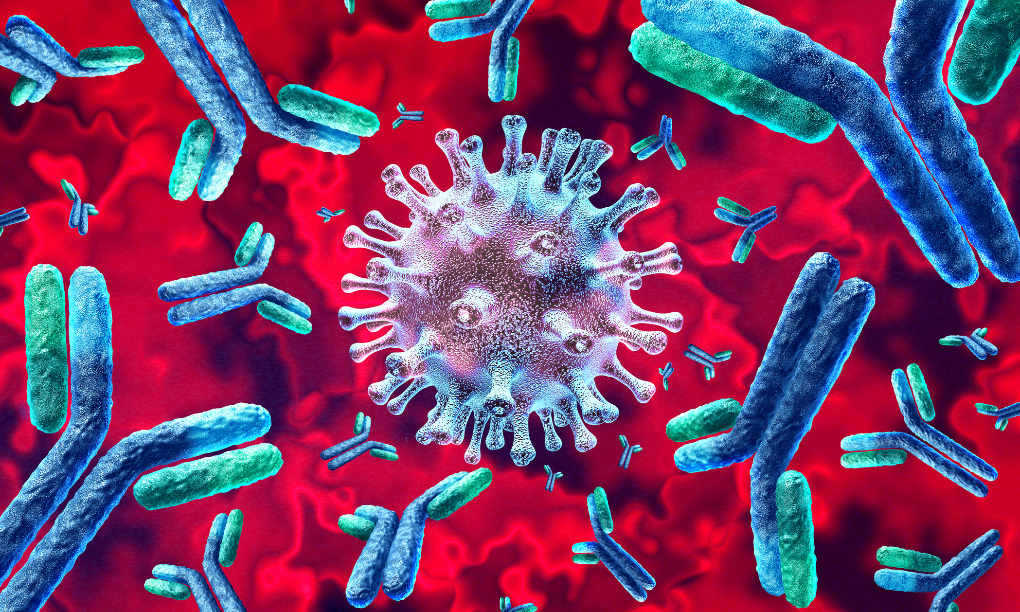 Active Immunity and Passive Immunity