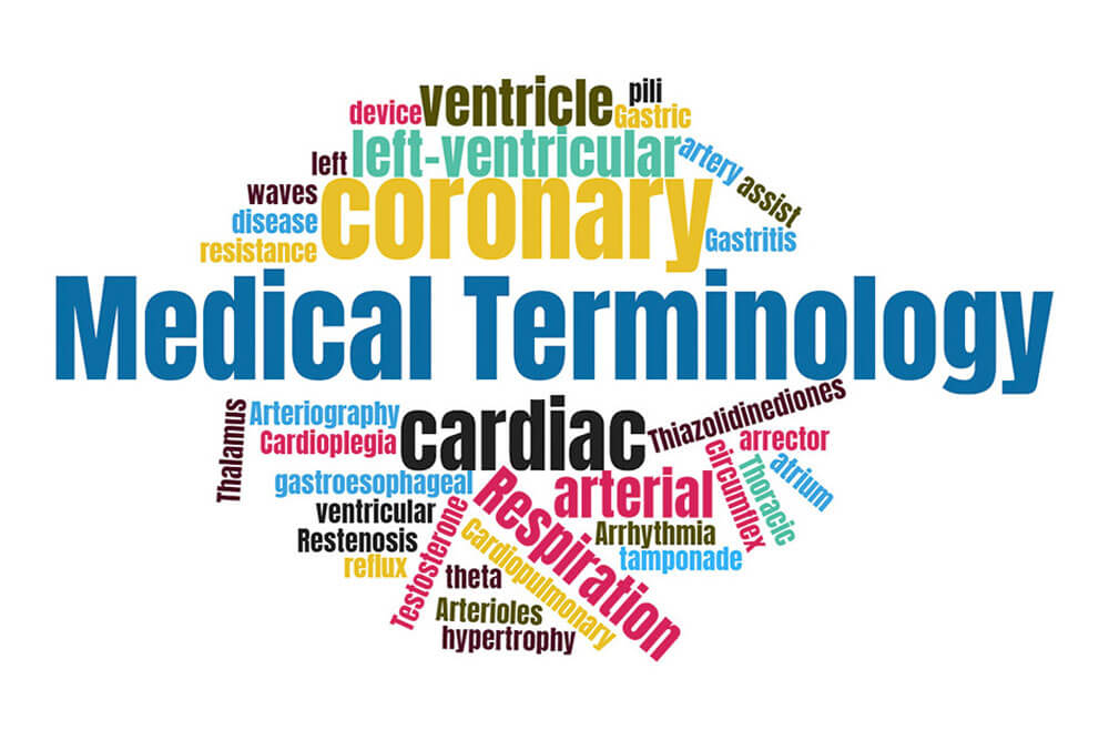 Concept about Terminology | CHAPTER 2 | Anatomy and Physiology