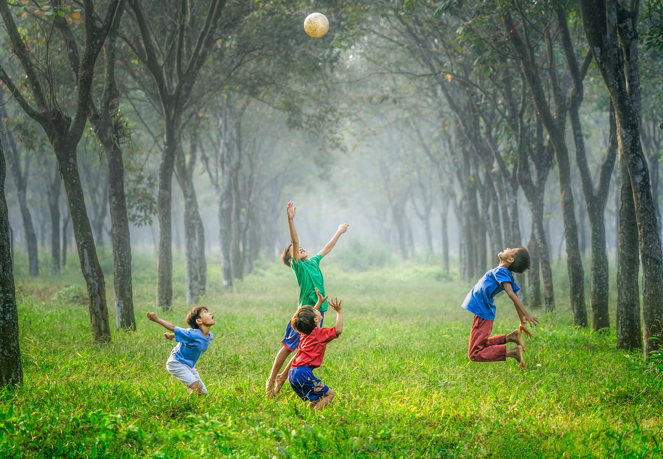 Factors affecting growth and development
