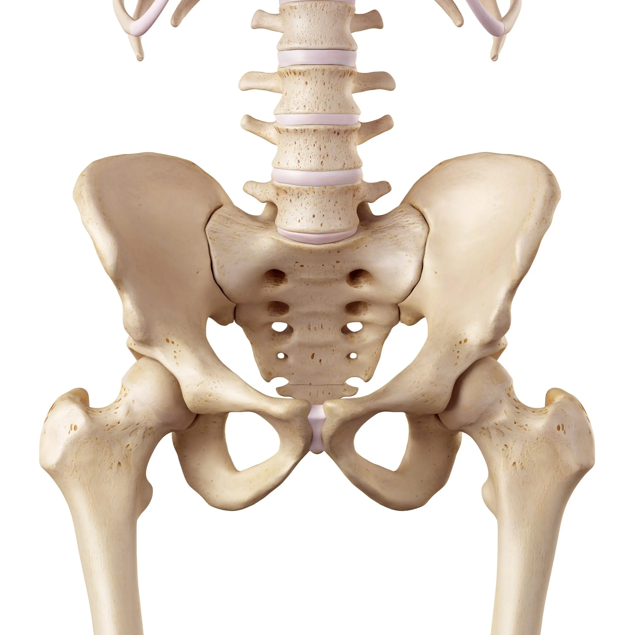 Hip Arthrodesis | CHAPTER 10 | Orthopedic Nursing