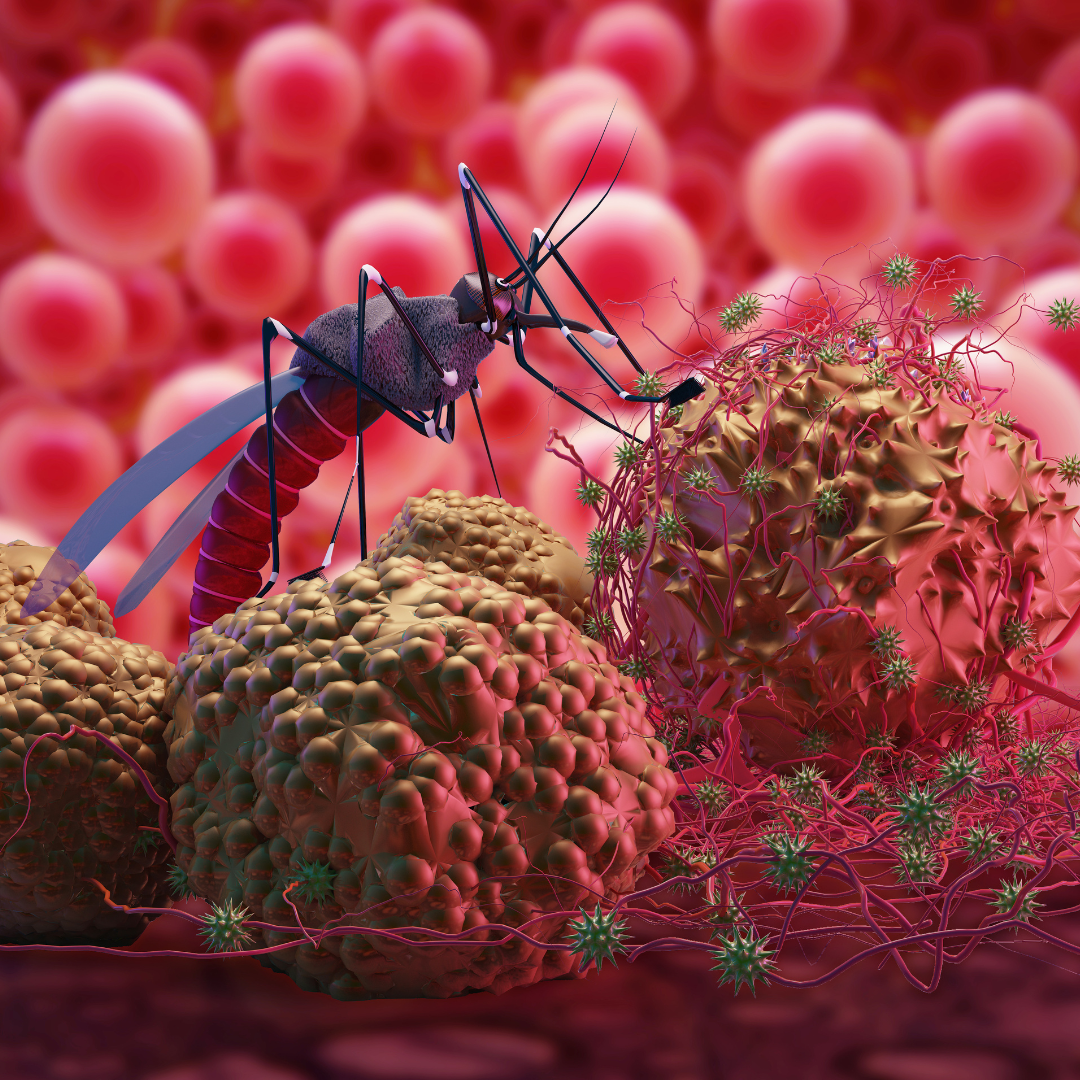 Concept of Malaria | CHAPTER 6 | Pediatric Nursing