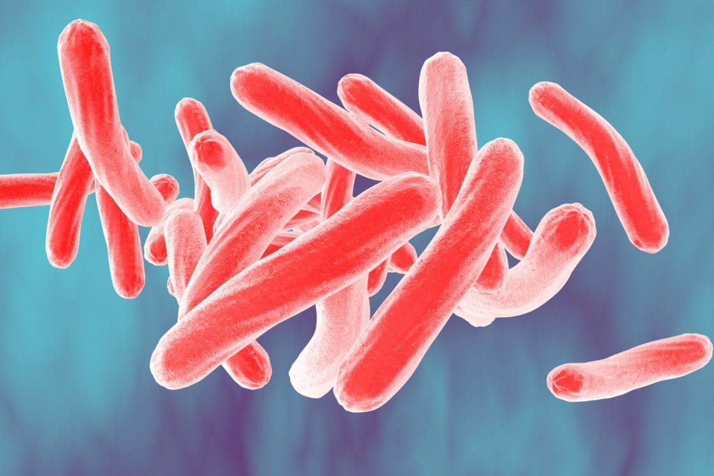 Pulmonary Tuberculosis