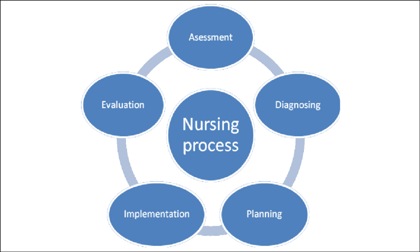 Roles of the pediatric nurse | CHAPTER 1 | Pediatric Nursing