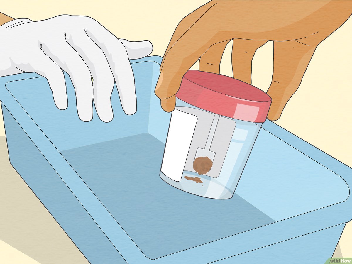 Sample or Specimen Collection