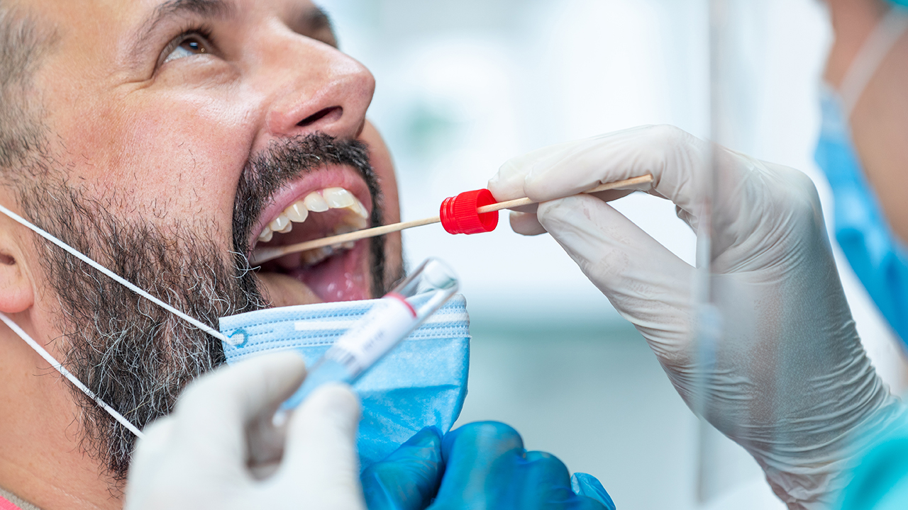 Culture of Throat Swab or Sputum