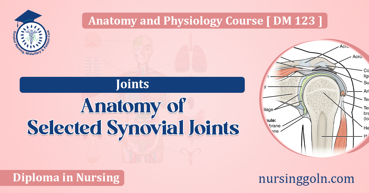 Anatomy of Selected Synovial Joints
