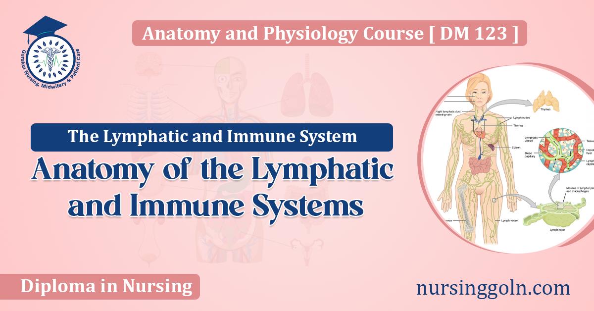 Anatomy of the Lymphatic and Immune Systems