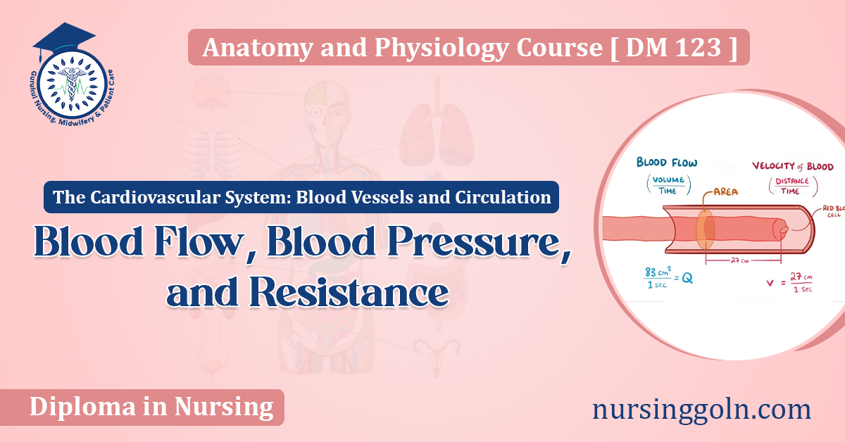 Blood Flow, Blood Pressure, and Resistance
