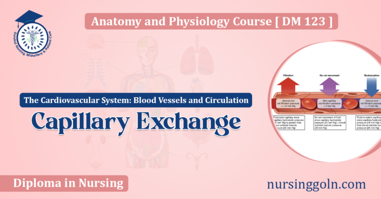 Capillary Exchange