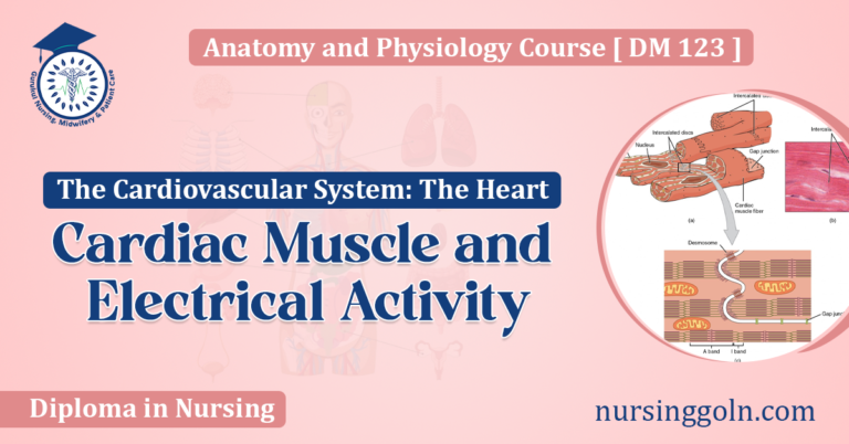 Cardiac Muscle and Electrical Activity
