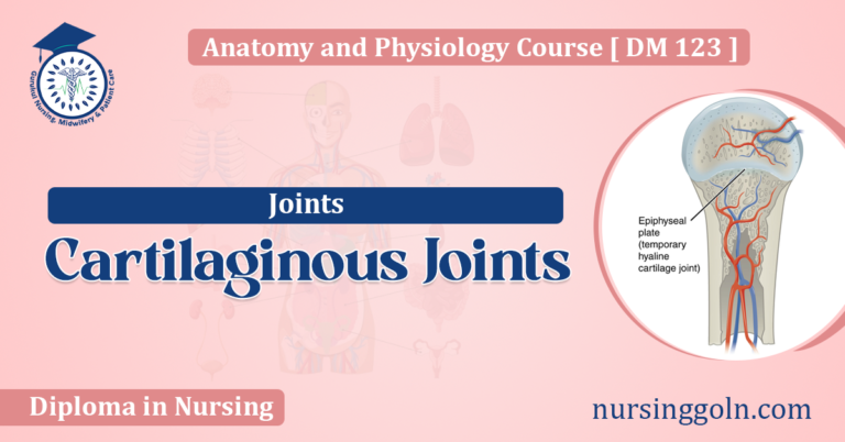 Cartilaginous Joints