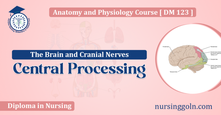 Central Processing