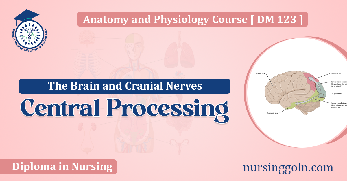 Central Processing