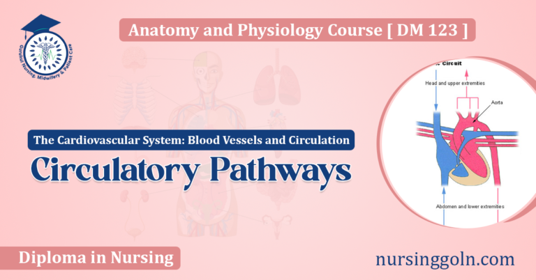 Circulatory Pathways