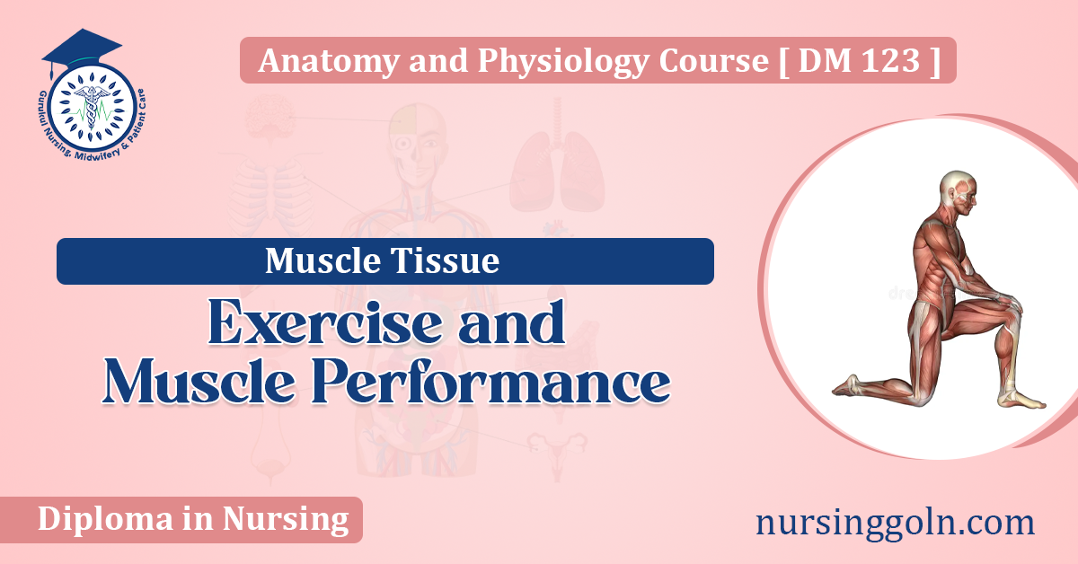Exercise and Muscle Performance