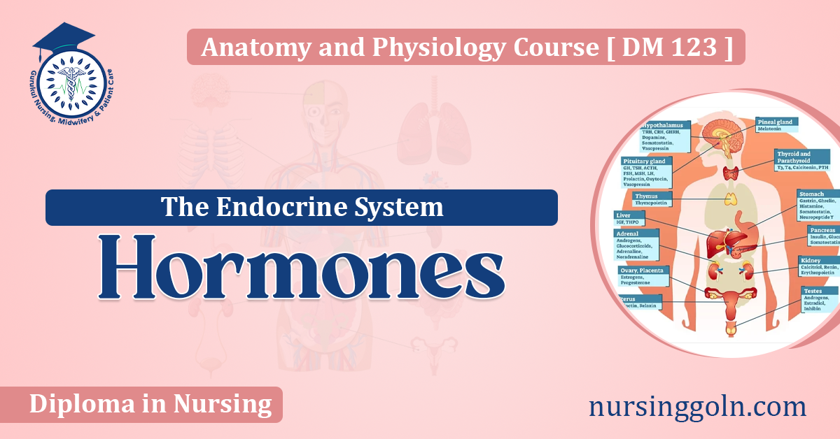 Hormones