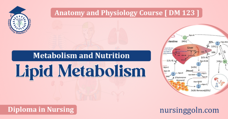 Lipid Metabolism