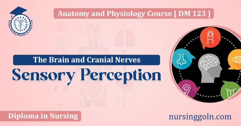 Sensory Perception