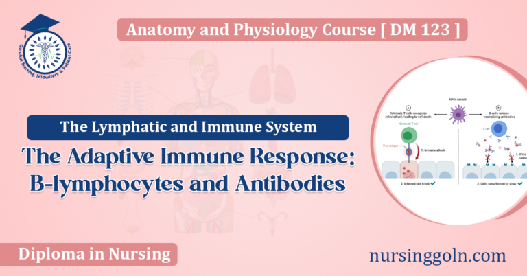 The Adaptive Immune Response B-lymphocytes and Antibodies