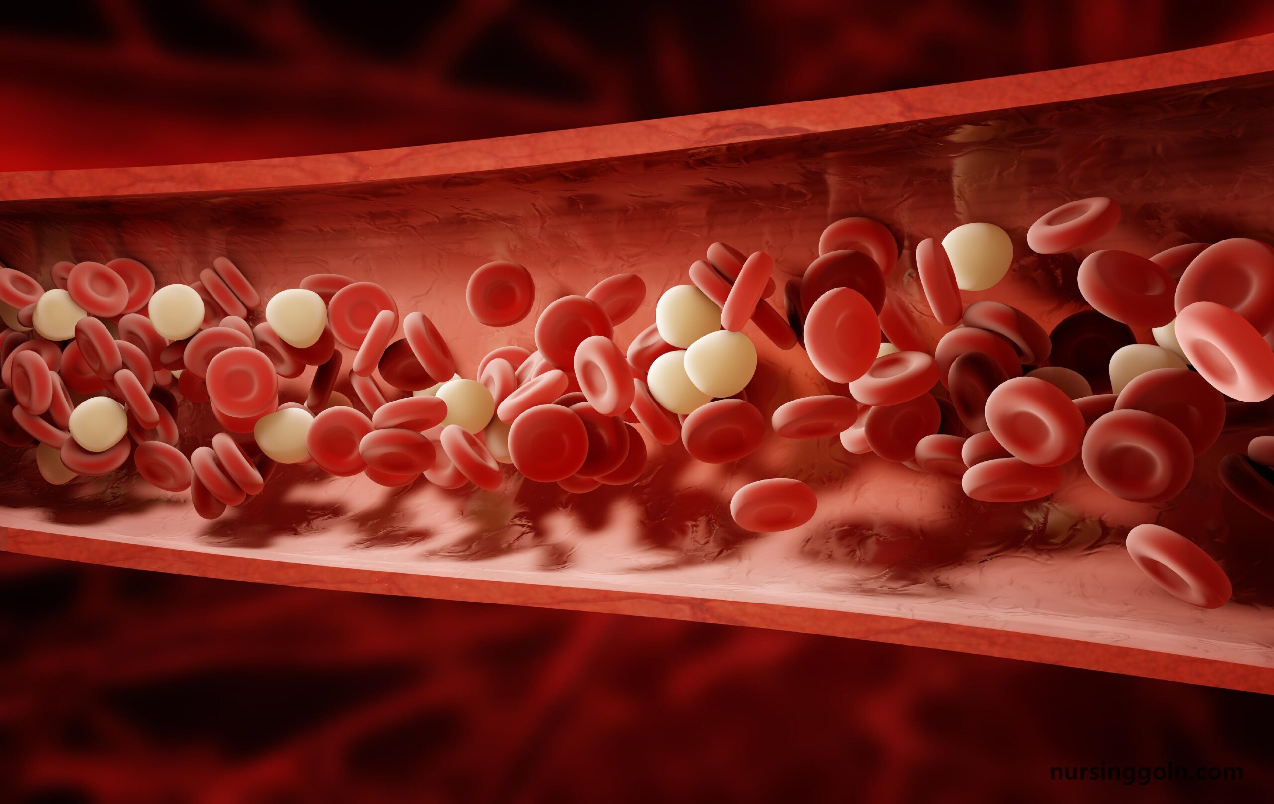 The Immune Response against Pathogens: The Lymphatic and Immune System