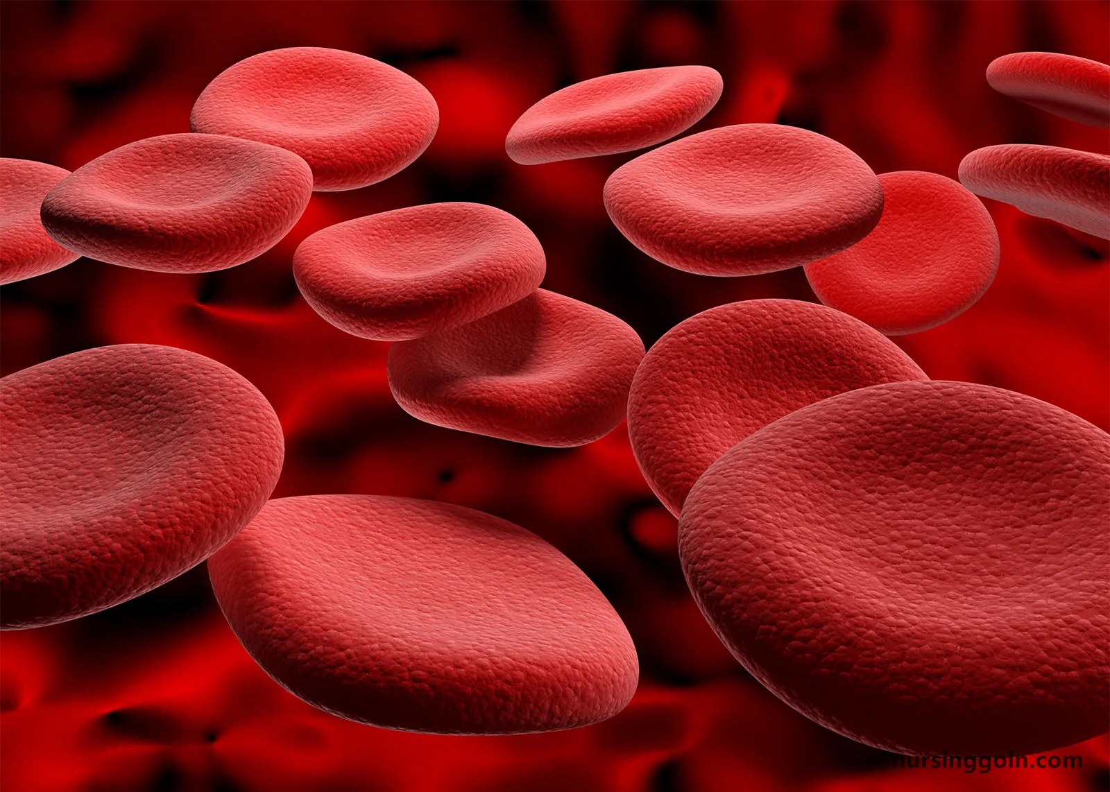 Blood Typing - The Cardiovascular System: Blood