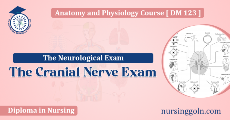 The Cranial Nerve Exam