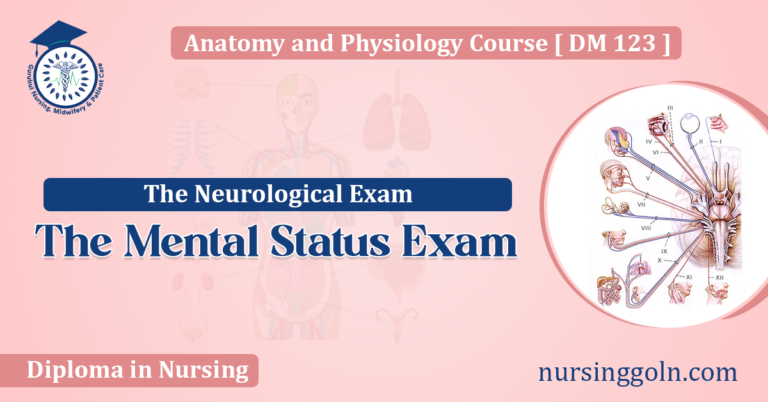 The Mental Status Exam