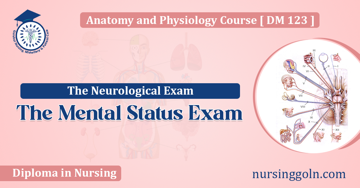 The Mental Status Exam