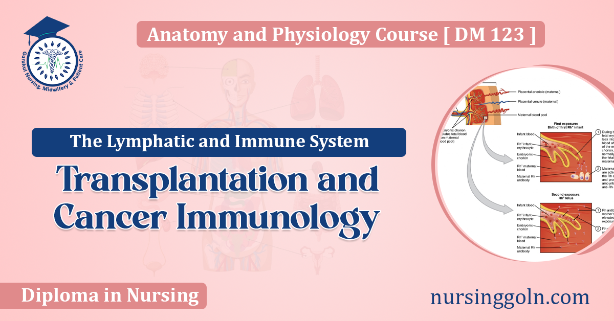 Transplantation and Cancer Immunology