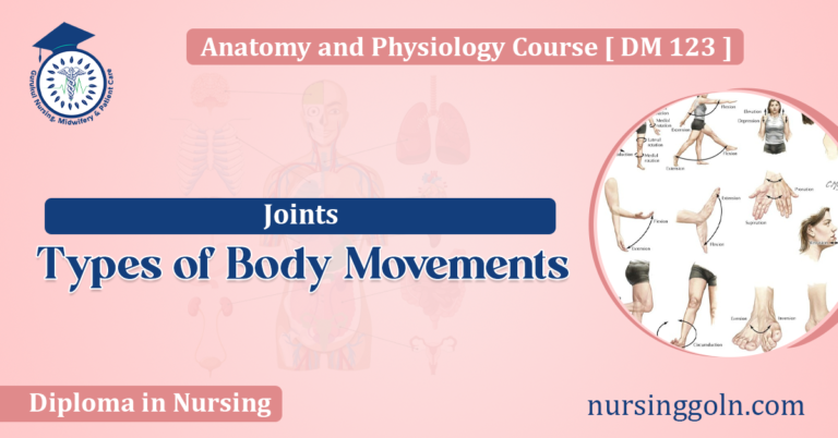 Types of Body Movements