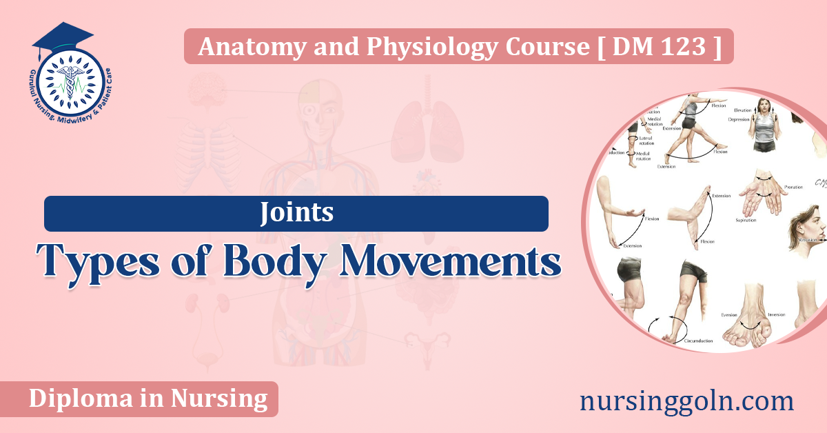 Types of Body Movements