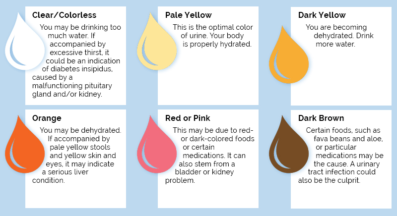 physical characteristics of urine