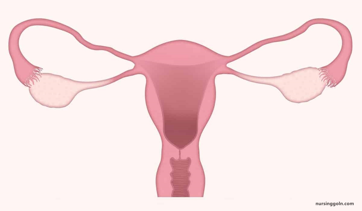 Concept of Amenorrhea | CHAPTER-17 | Medical and Surgical Nursing