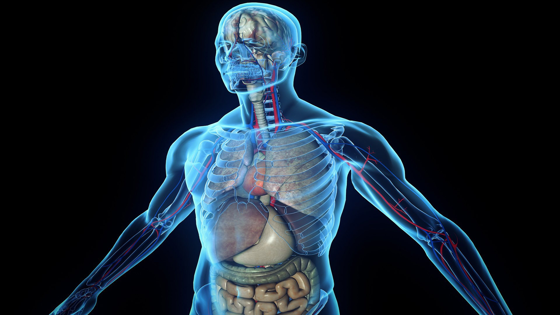 Anatomy and physiology for Nursses and Midwifery | Diploma in Nursing Science and Midwifery