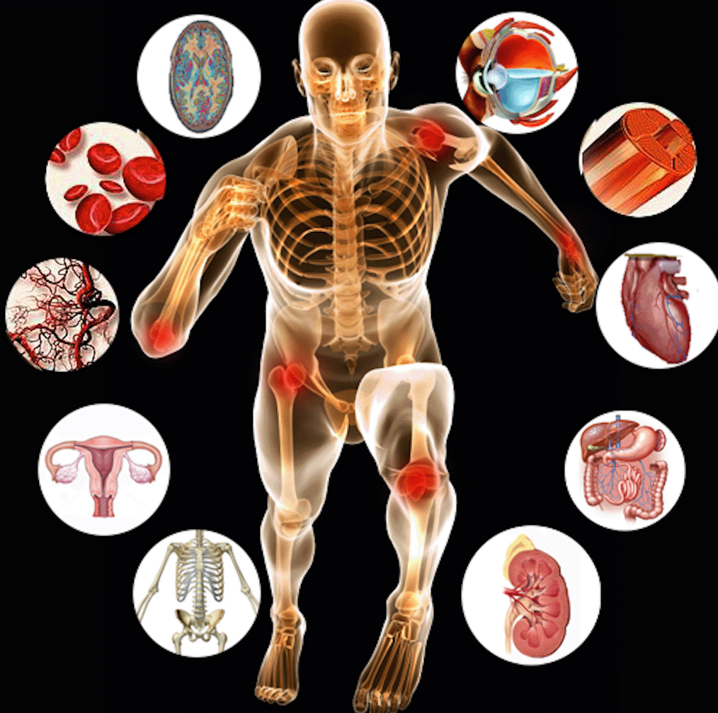 Definition of physiology and it's Branches | CHAPTER 1 | Anatomy and physiology