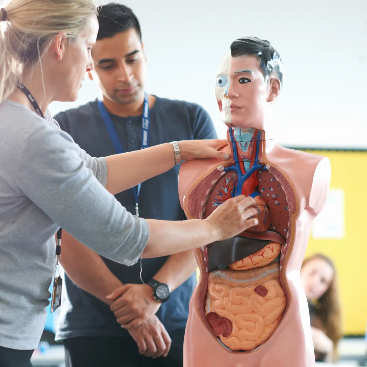 The body cavity | CHAPTER 1 | Anatomy and Physiology