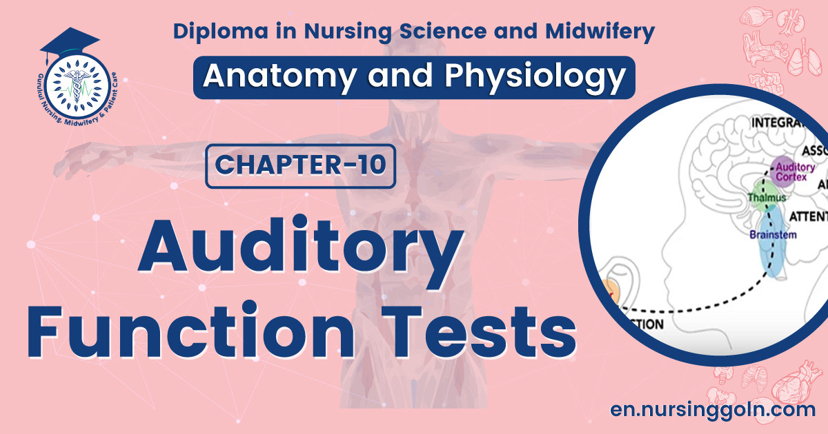 Auditory function tests | CHAPTER 10 | Anatomy and Physiology